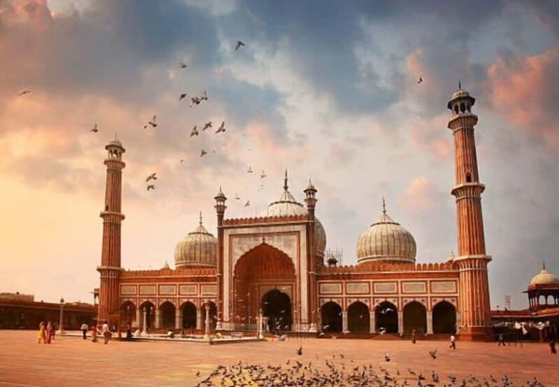 Delhi: Old and New Delhi City Private Guided Day Tour by car - Who This Tour Is Best For