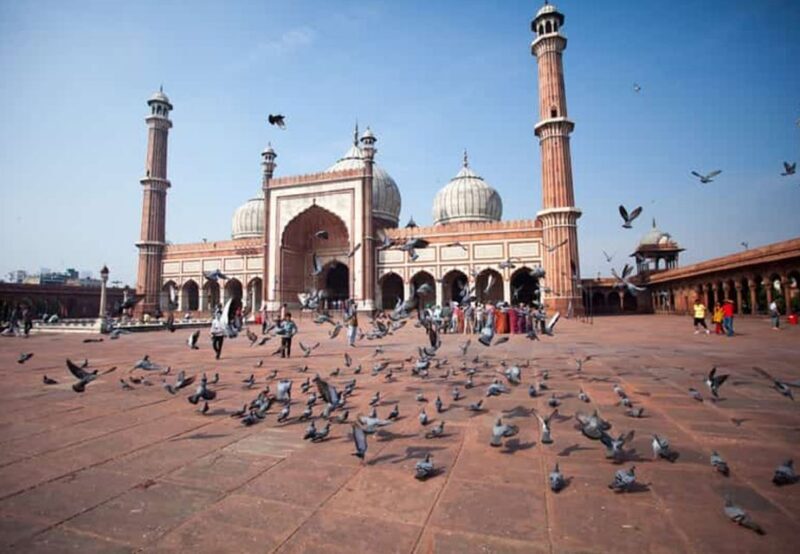 Delhi: Old and New Delhi Guided Full or Half-Day Tour - Final Thoughts
