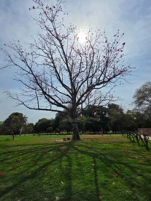 Delhi: Old And New Delhi Private Full Or Half-Day Tour - FAQ