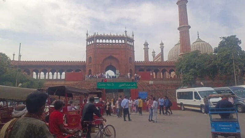 Delhi: Old Delhi City Tour with Tuk-Tuk Ride & Street Food - Key Points