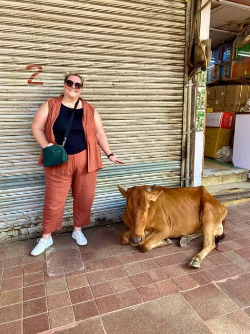 Delhi: Old Delhi's Street Food, Temples & Spice Market Tour - Key Points