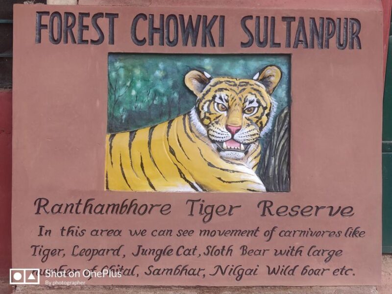 Delhi: Private 3-Days Jaipur & Ranthambore Tiger Safari Tour - Final Thoughts: Is This Tour Right for You?