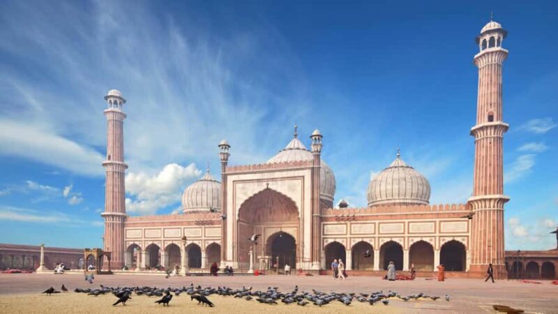 Delhi: Private 8-Hour Tour of New Delhi - Key Points