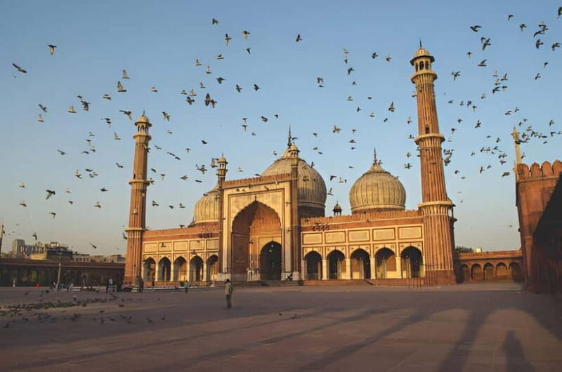 Delhi: Private Full-Day Tour of Old & New Delhi - FAQ