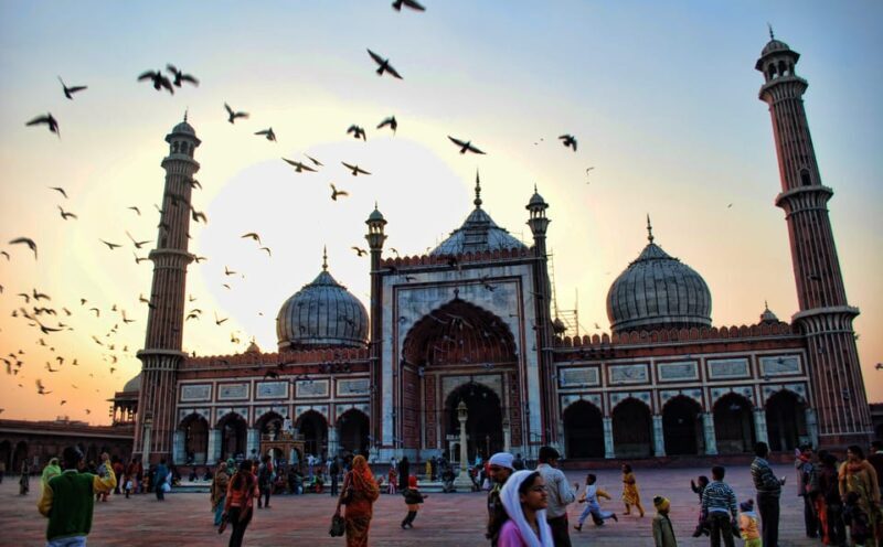 Delhi Private Guided City Tour: Old and New Delhi City - Potential Drawbacks