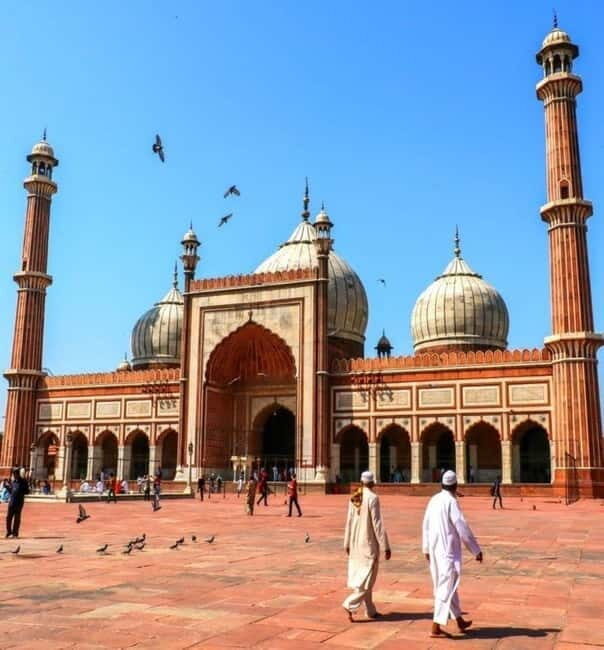 Delhi: Private Half-Day City Tour with Pickup & Highlights - In-Depth Look at the Tour Experience