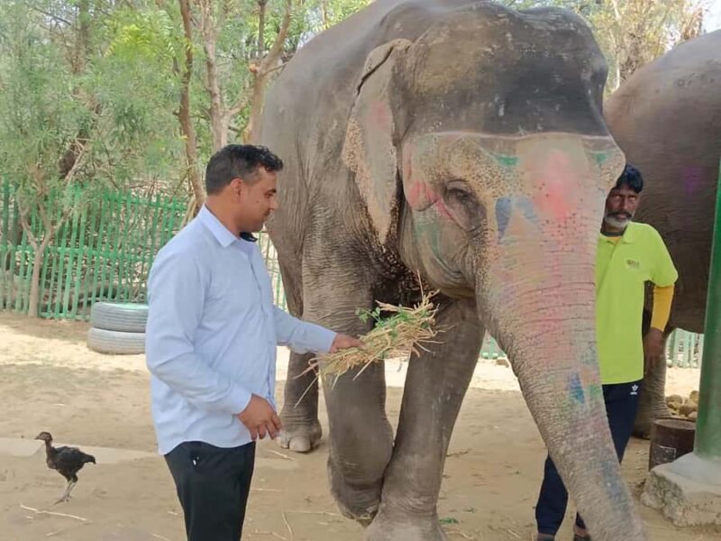 Delhi : Private Taj Mahal with Elephant Sanctuary Tours - Final Thoughts: Who Will Love This Tour?