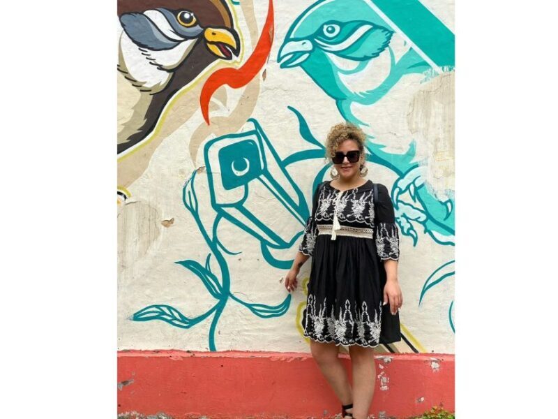 Delhi Street Art Tour: Explore the Murals & Visit a Stepwell - FAQ