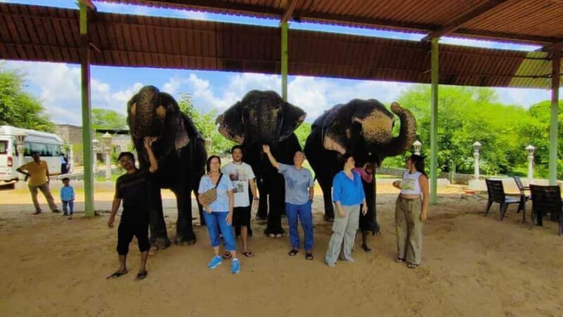 Delhi: Taj Mahal Sunrise Tour with Elephant Conservation - Taj Mahal: Sunrise Spectacle