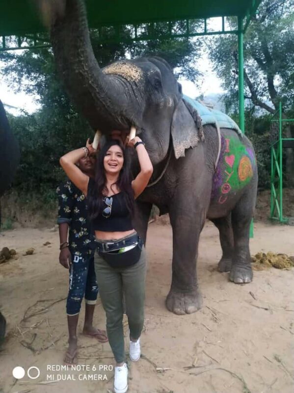 Delhi: Taj Mahal Sunrise Tour with Elephant Conservation - Return Journey