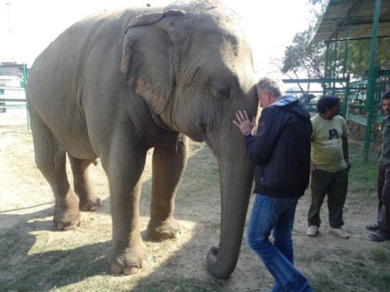 Delhi: Taj Mahal & Wildlife SOS Elephant/Bear Sanctuary Tour - Key Points