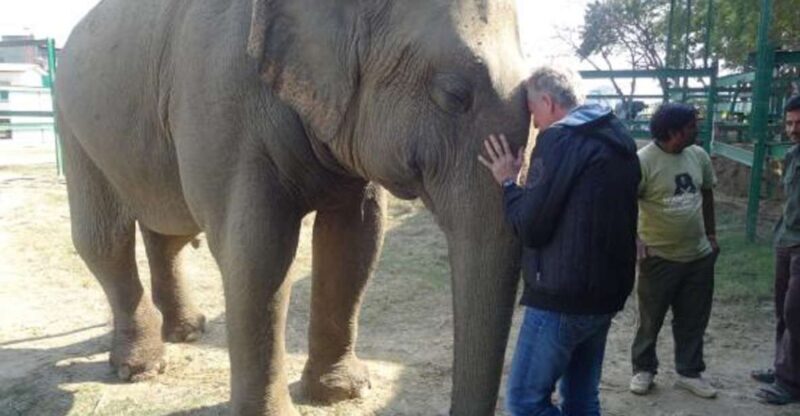 Delhi: Taj Mahal & Wildlife SOS Elephant/Bear Sanctuary Tour - Who Should Consider This Tour?