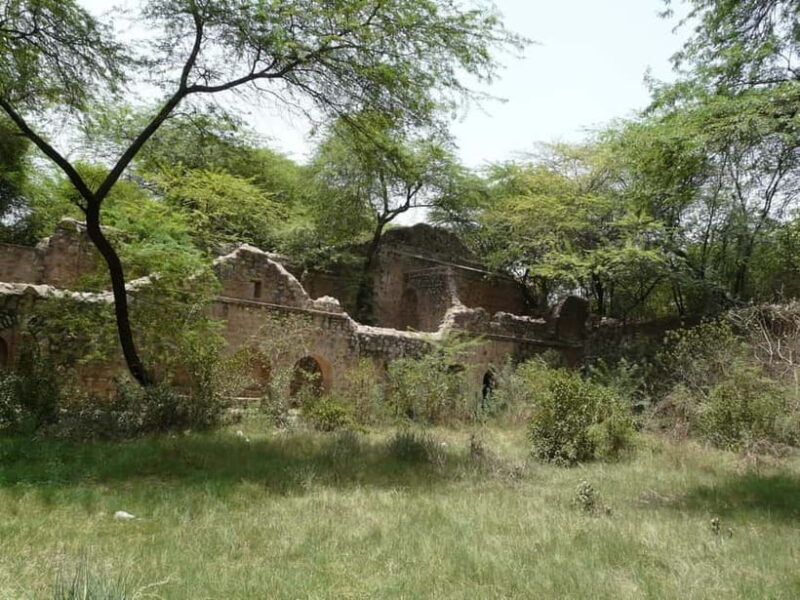 Delhi's Rustic Sites tour & Skip the tourist traps - The Experience Provider: Discover Activities