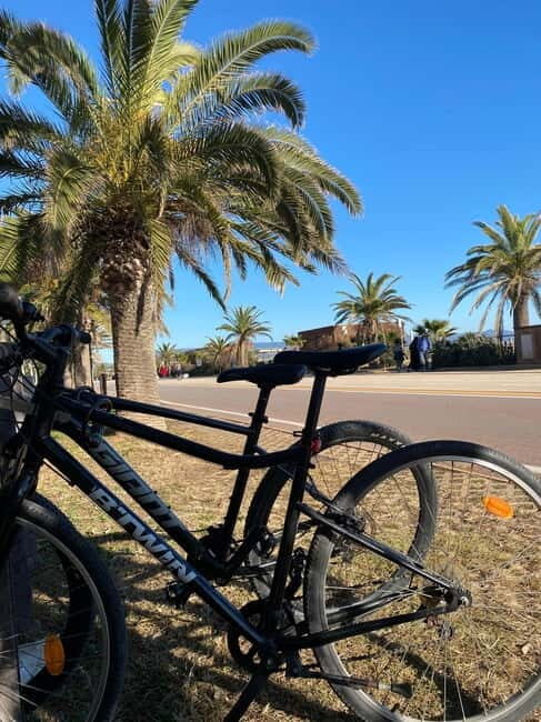 Delivery bike for 6hours Castello/Molentargius/Poetto/Quartu - How Do the Reviews Reflect the Experience?