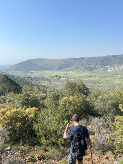 delphi-easy-hike-from-the-monastery-to-the-mycenaean-tomb