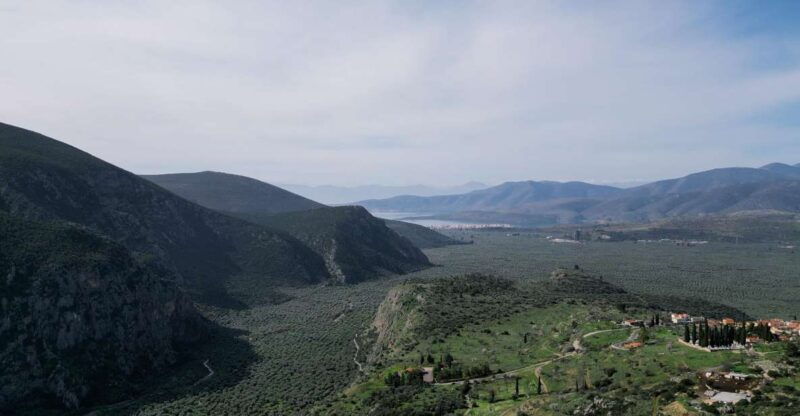 delphi-easy-hike-on-ancient-path-through-the-olive-groves