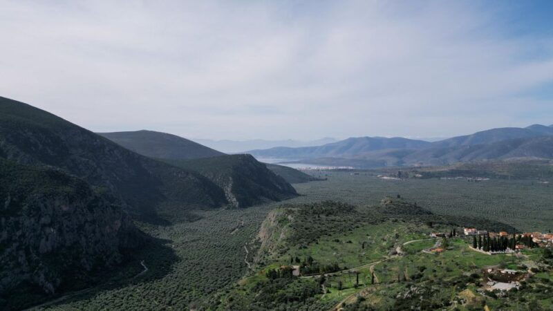 delphi-easy-hike-on-ancient-path-through-the-olive-groves