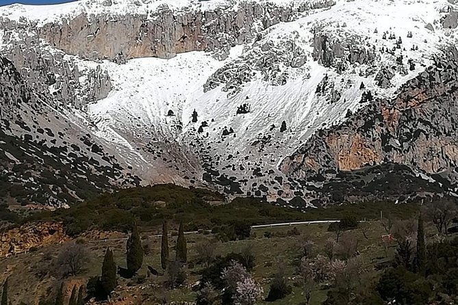 delphi-full-day-private-tour-temple-of-apollo-museum-navel-of-earth-oracle