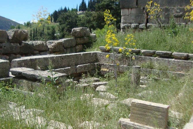 delphi-self-guided-audio-tour-on-your-phone-no-ticket