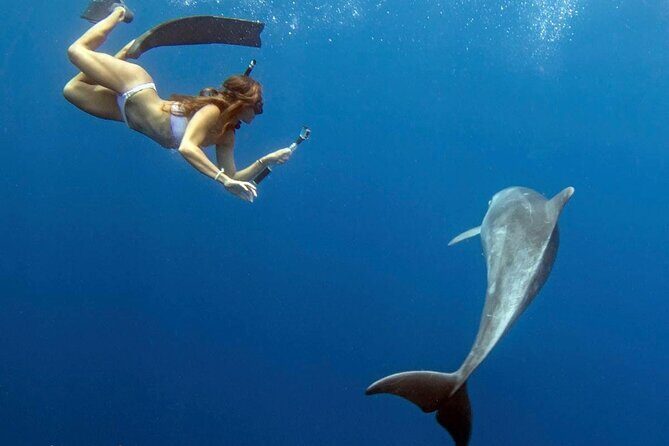 Deluxe Catamaran Swim with Dolphins in Oahu with Waterslide - Who Is This Tour Best For?