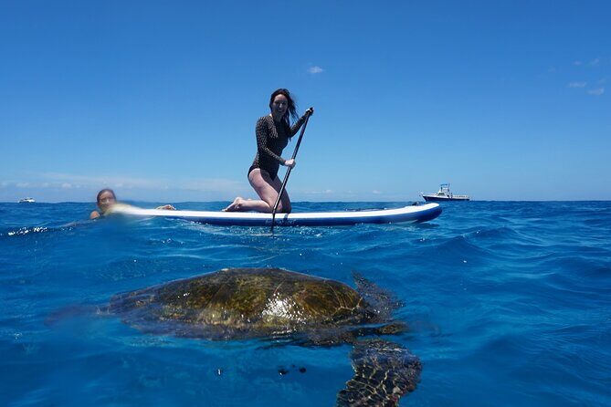 Deluxe Catamaran Swim with Dolphins in Oahu with Waterslide - Frequently Asked Questions