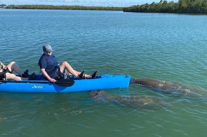 deluxe-kayak-tour-marco-island-and-naples-florida