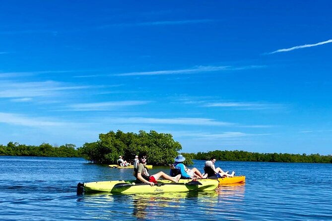 deluxe-kayak-tour-marco-island-and-naples-florida