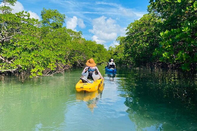 deluxe-kayak-tour-marco-island-and-naples-florida
