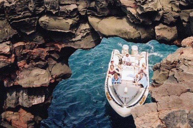 Deluxe Morning Snorkeling Adventure - The Marine Life and Sightings