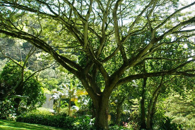 deluxe-north-shore-adventure-from-ko-olina