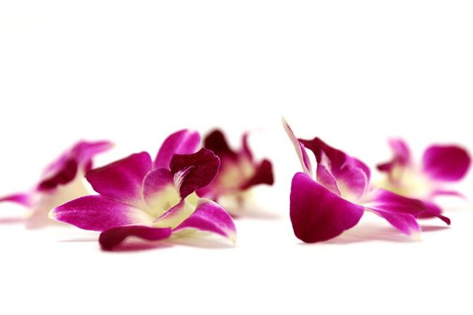 deluxe-orchid-lei-greeting-maui-kahului-airport-ogg