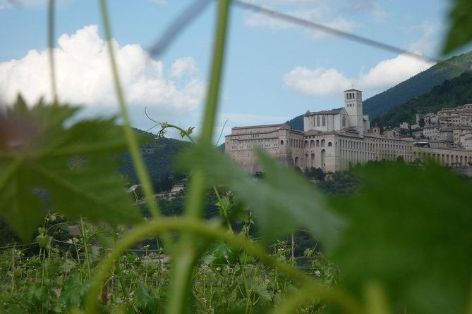 deluxe-picnic-assisi-for-2-and-wine-tasting-of-5-wines