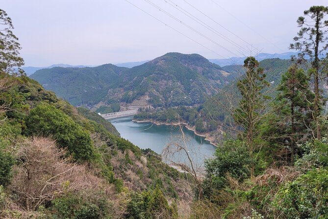 Deluxe Private Tour: Hita, AOT Statues and Onsen from Fukuoka - Key Points