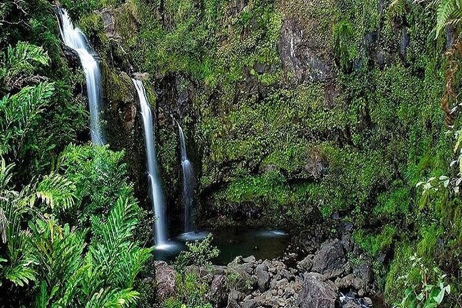 deluxe-road-to-hana-rainforest-and-waterfall-experience-from-maui