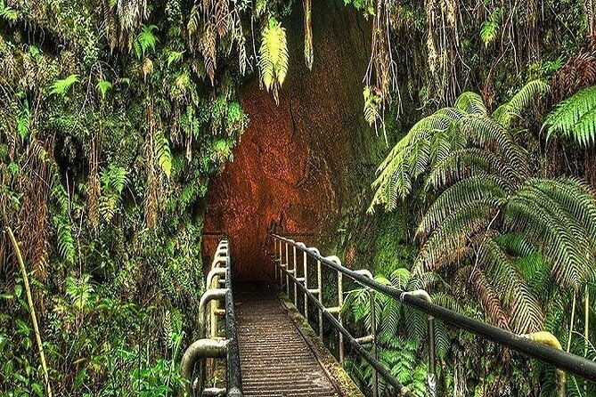 deluxe-road-to-hana-rainforest-and-waterfall-experience-from-maui