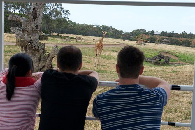 Deluxe Safari Adventure at Werribee Open Range Zoo - excl. entry - Final Thoughts