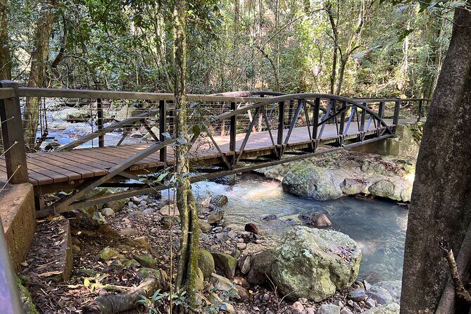 Deluxe Tamborine & Springbrook Day Tour with Skywalk & Glow Worms - Food, Snacks, and Extras