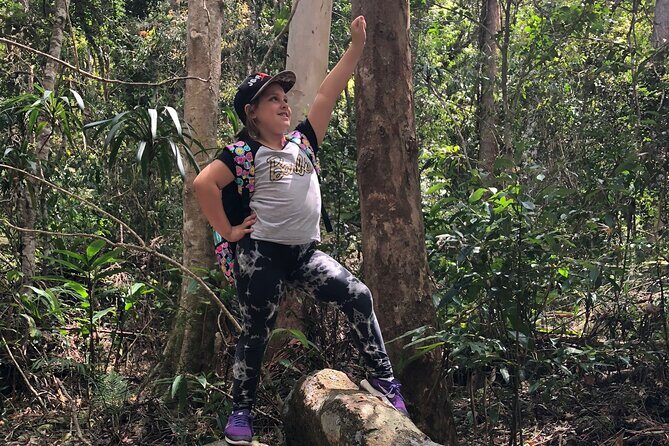 Deluxe Tamborine & Springbrook Day Tour with Skywalk & Glow Worms - Who Is This Tour Best For?