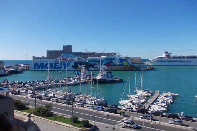 Deluxe transfer from Cruise port to Rome - Authentic Insights from Reviewers