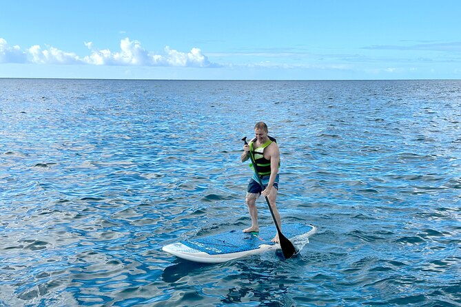 deluxe-turtle-snorkeling-escapade-at-waikiki