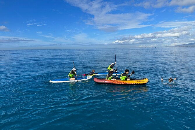 deluxe-turtle-snorkeling-escapade-at-waikiki