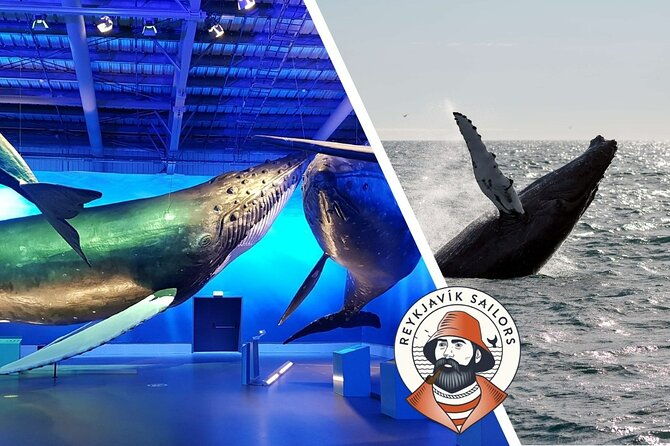 deluxe-whale-watching-and-whales-of-iceland-exhibition-combo-from-reykjavik-2