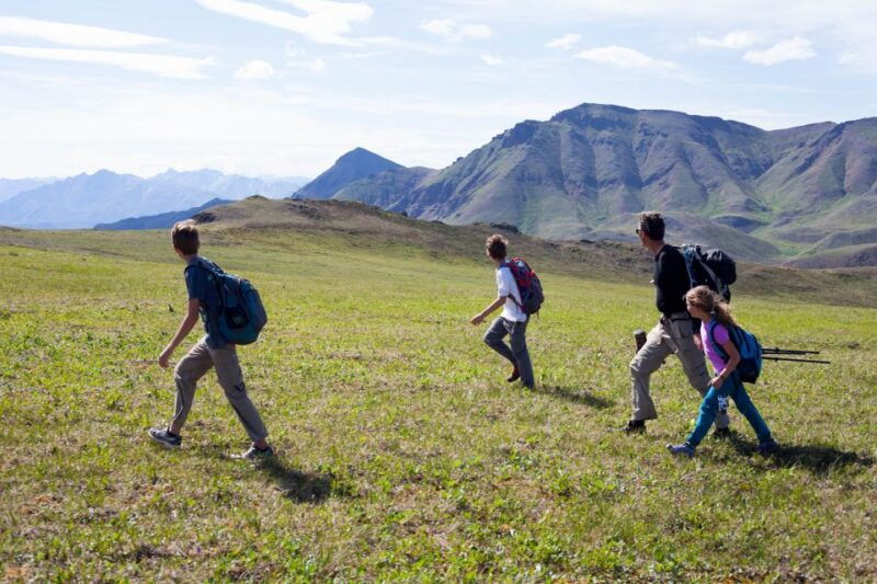 denali-5-hour-guided-wilderness-hiking-tour