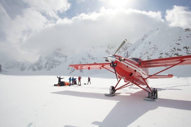 Denali Flyer Flightseeing Tour from Talkeetna - Pricing and Value