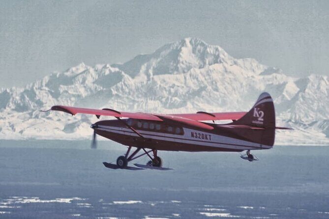 Denali Grand Flightseeing Tour from Talkeetna - Who Will Love This Tour?