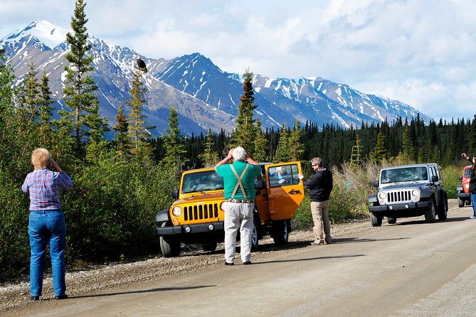 denali-highway-jeep-excursion