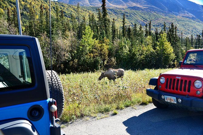 denali-highway-jeep-excursion