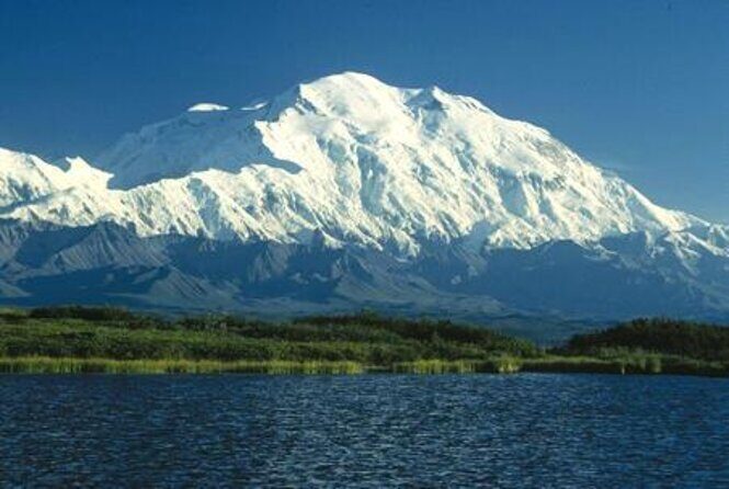 Denali National Park Walking Tour - Who Should Book This Tour?