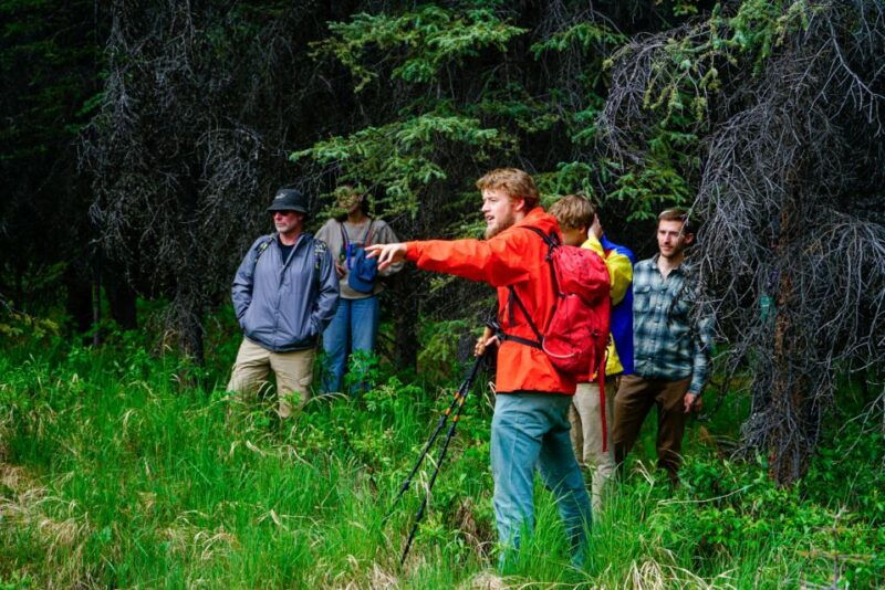 denali-naturalist-walking-tour-in-denali-national-park