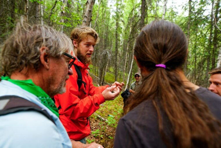 denali-naturalist-walking-tour-in-denali-national-park